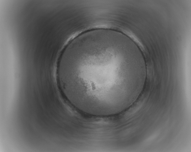 X0000113920434200909241533