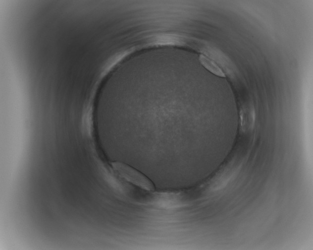 X0000113920436200909241533