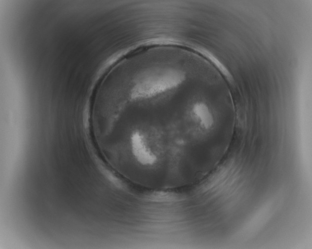 X0000113920437200909241533