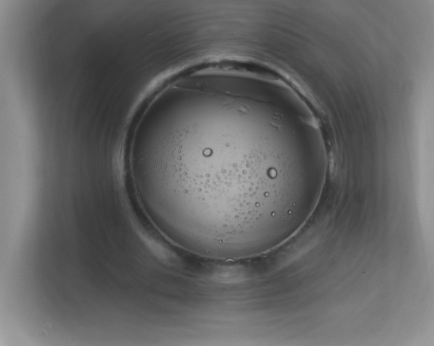 X0000113920438200909241533