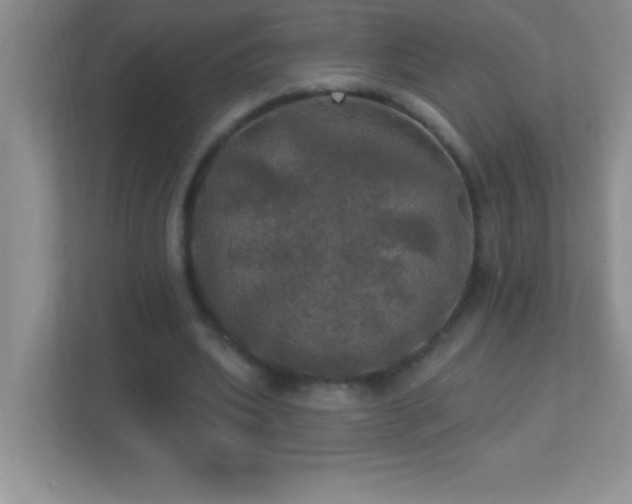 X0000113920439200909241533