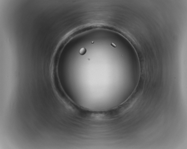 X0000113920440200909241533