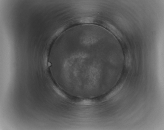 X0000113920441200909241533