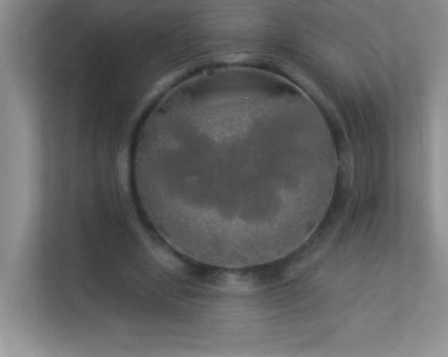 X0000113920442200909241533