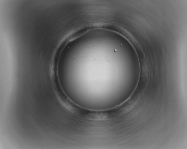 X0000113920443200909241533