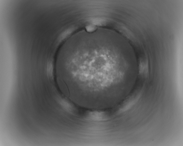 X0000113920444200909241533