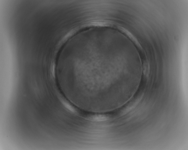 X0000113920445200909241533