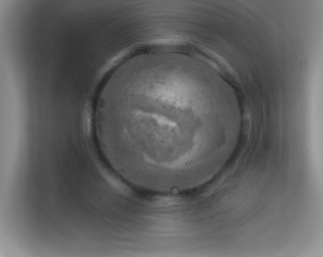 X0000113920446200909241533