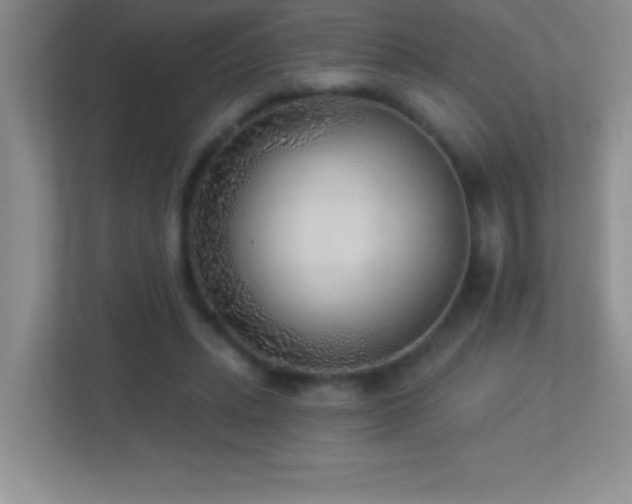 X0000113920447200909241533