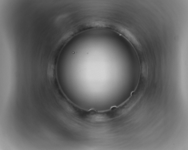 X0000113920449200909241533