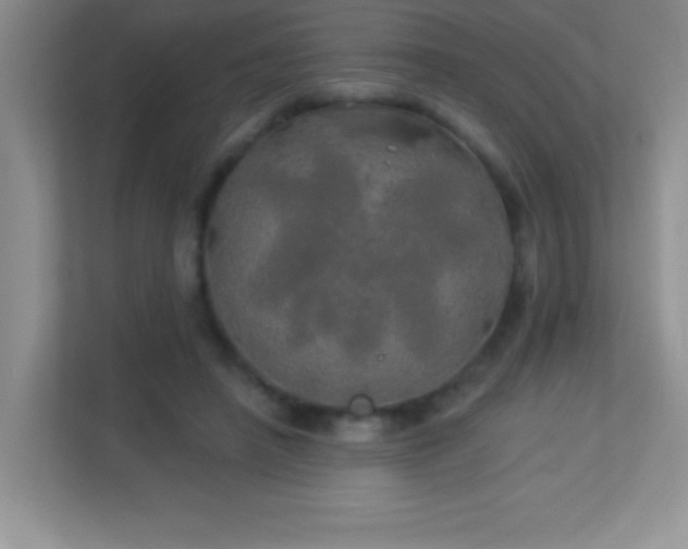 X0000113920450200909241533