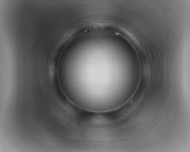 X0000113920451200909241533