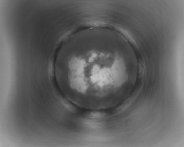 X0000113920453200909241533