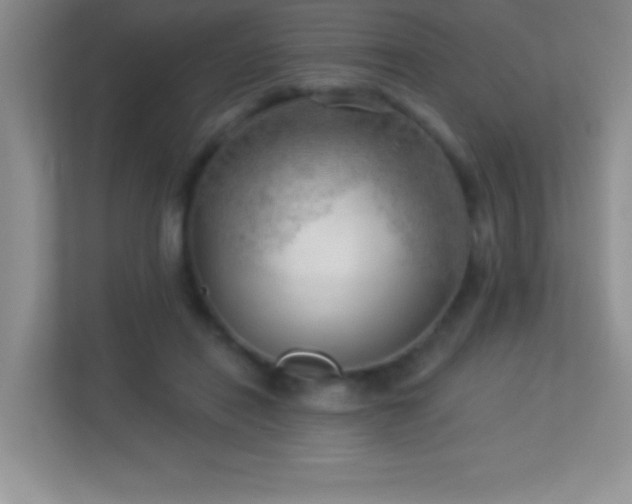 X0000113920454200909241533