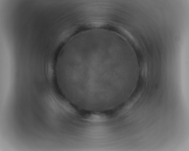 X0000113920455200909241533