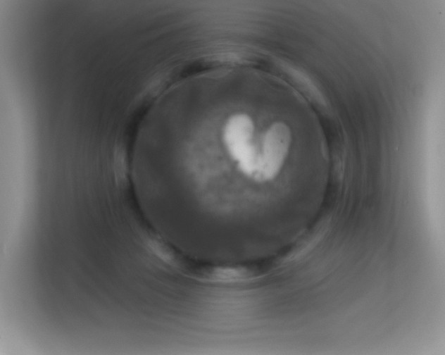 X0000113920457200909241533