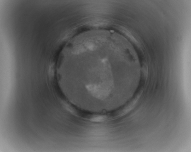 X0000113920458200909241533