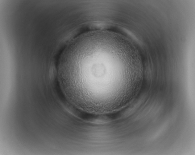 X0000113920459200909241533