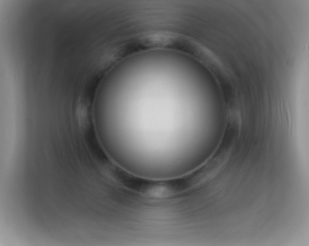 X0000113920460200909241533