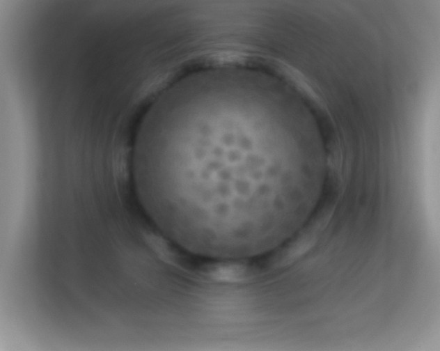 X0000113920462200909241533