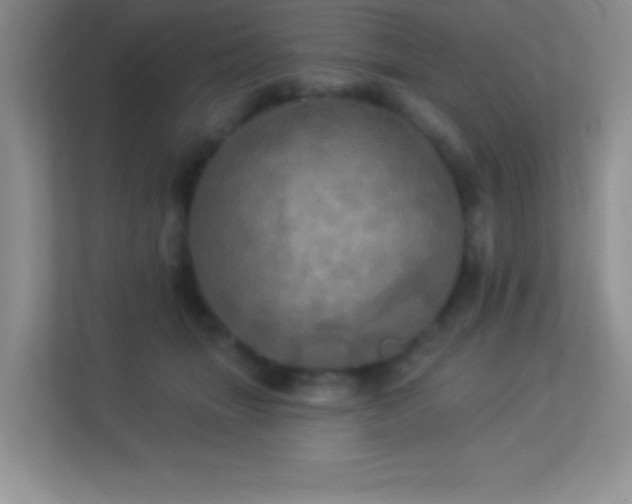 X0000113920463200909241533