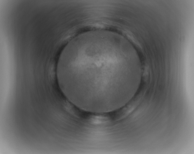 X0000113920466200909241533