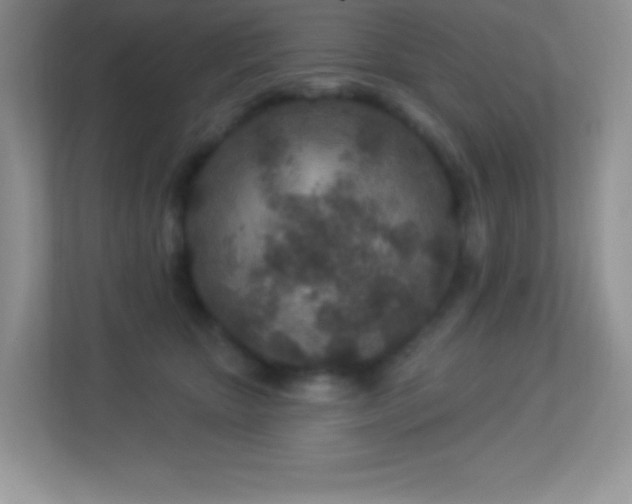 X0000113920467200909241533