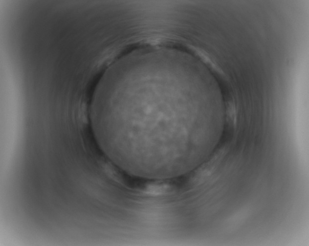 X0000113920470200909241533