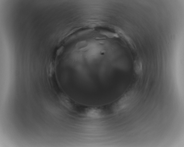 X0000113920471200909241533