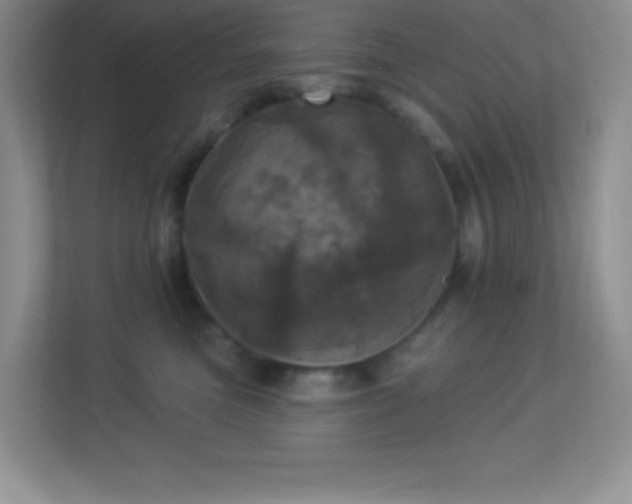 X0000113920473200909241533