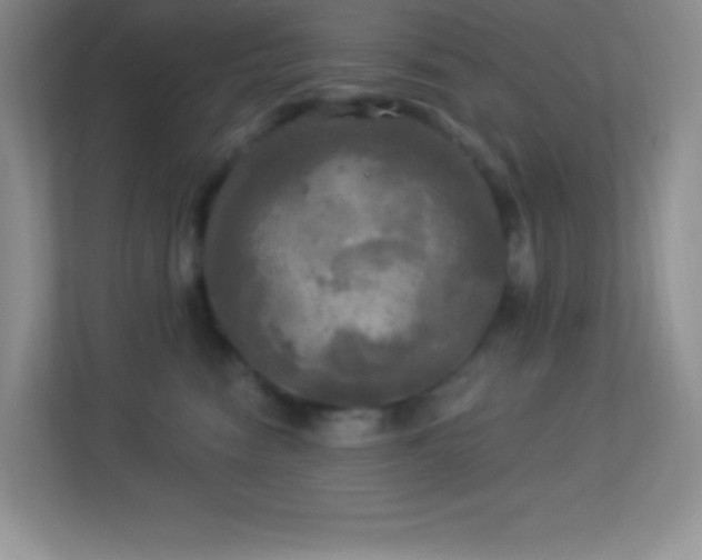 X0000113920474200909241533