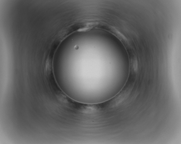 X0000113920475200909241534