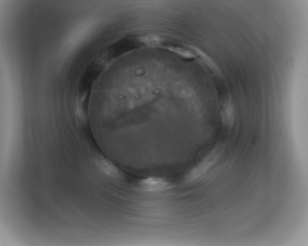 X0000113920477200909241534