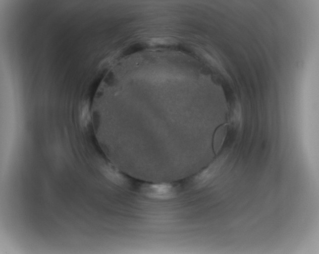 X0000113920478200909241534