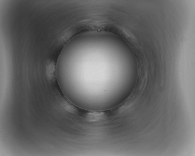 X0000113920480200909241534