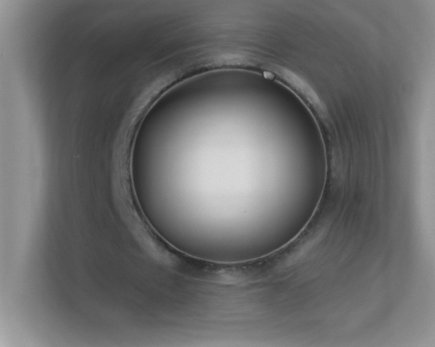 X0000113920481200909241533