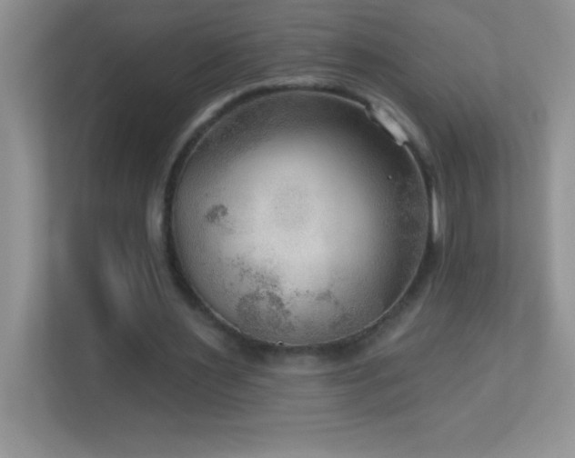 X0000113920483200909241533