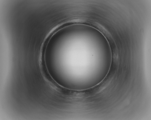 X0000113920484200909241533