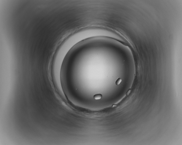 X0000113920485200909241533