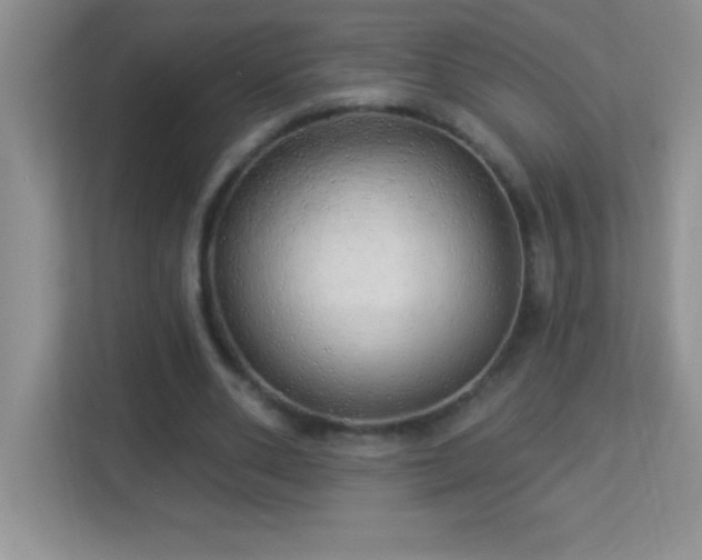 X0000113920486200909241533