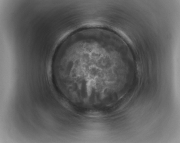 X0000113920487200909241533