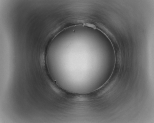 X0000113920489200909241533