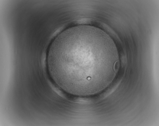 X0000113920490200909241533