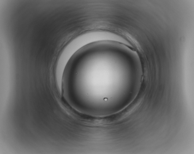 X0000113920493200909241533