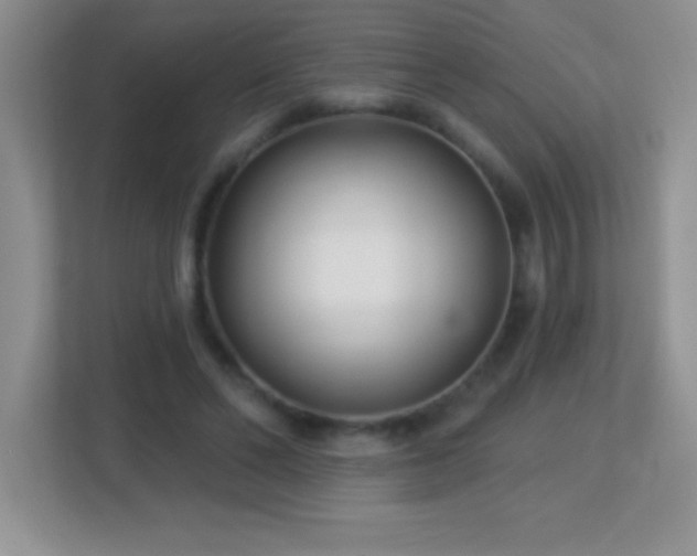 X0000113920494200909241533