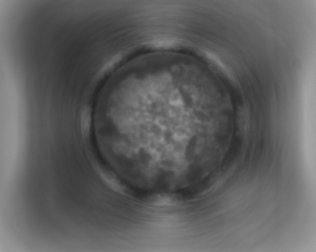 X0000113920495200909241533