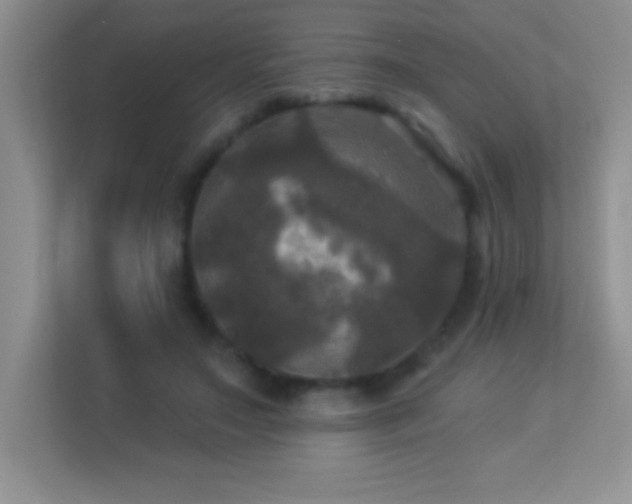 X0000113920499200909241533