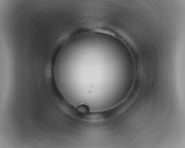 X0000113920501200909241533