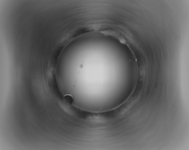 X0000113920503200909241533