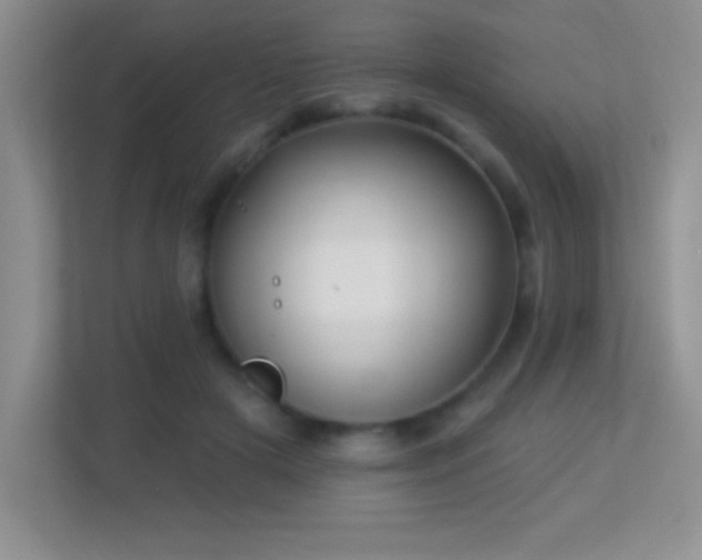 X0000113920505200909241533